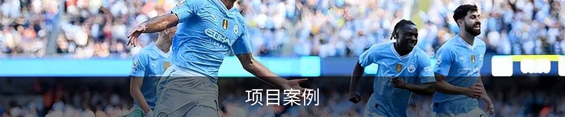 项目案例